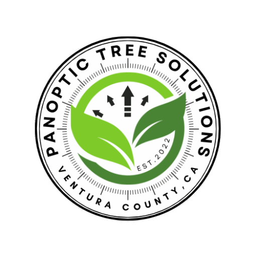 Panoptic Tree Solutions